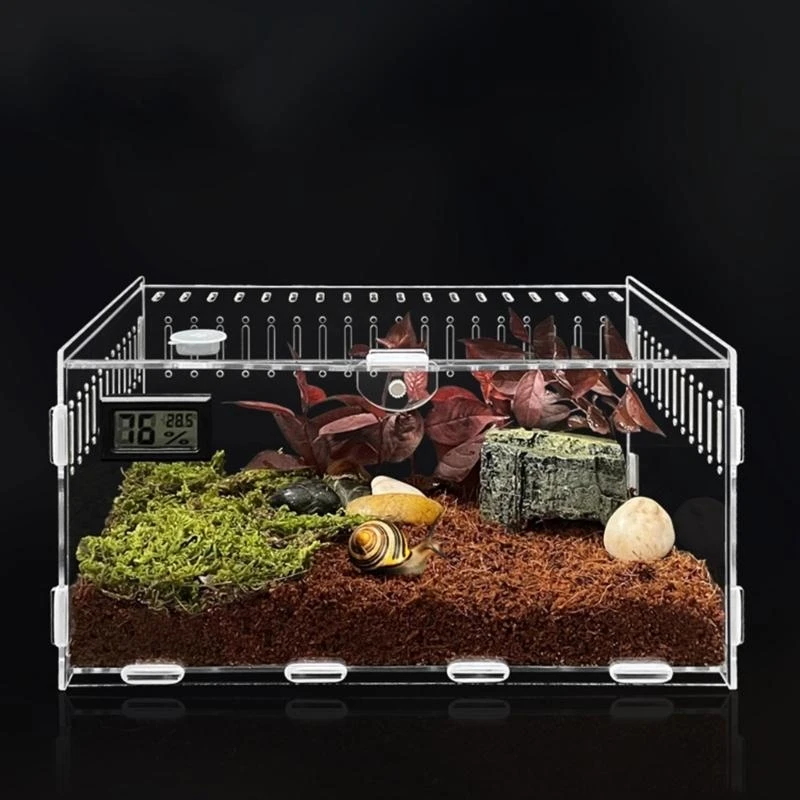 Reptiles alimentación caja alimentación Terrario acrílico Contenedor para arañas Lizards