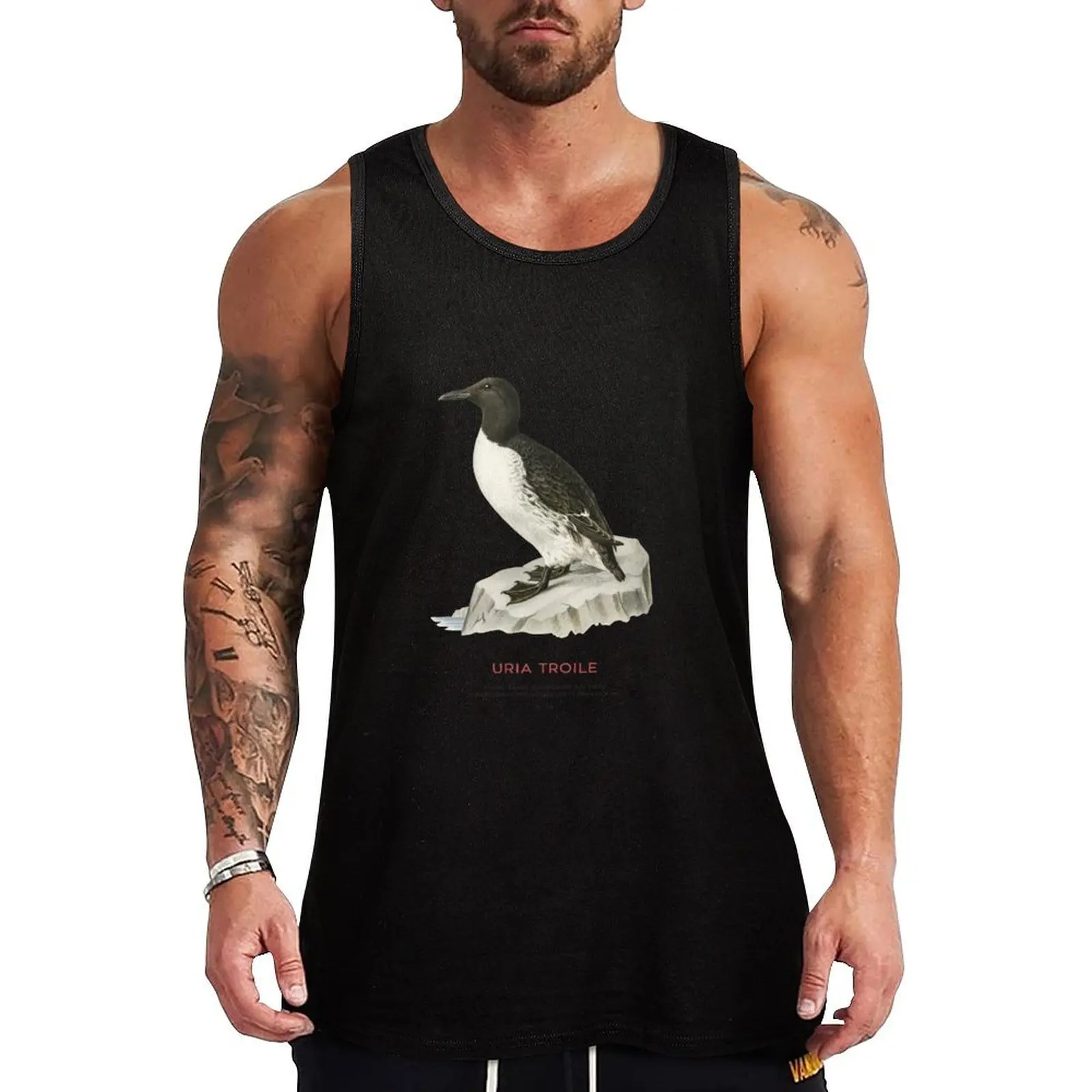 Camiseta regata para musculação, camiseta regata sem mangas para academia e fitness, modelo Common murre ou Uria troile