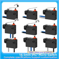 Microinterruptor pequeño impermeable con orificio de tornillo, botón de plomo sellado, columna de doble posicionamiento, varilla oscilante, reemplazo de D2HW-C201, 18,5mm