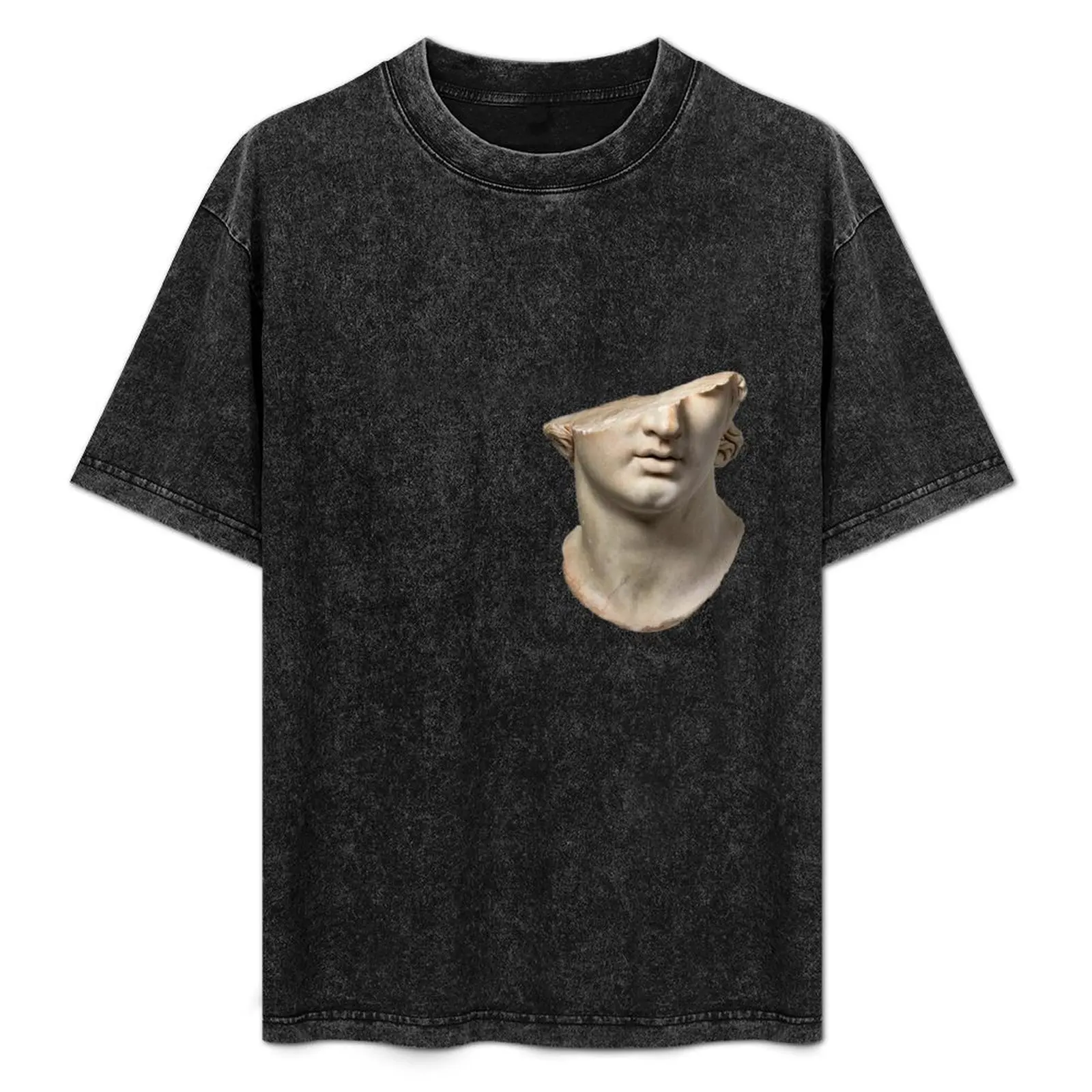Fragmentary colossal head of a youth T-Shirt Work Utility Casual Tee Shirt