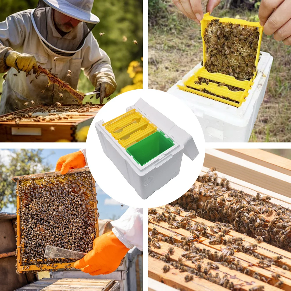 

Bee Foam Pollination Boxes Beekeeping King Box Bee Hive Holder Beekeeping Kit Bee Mating Supplies Home Garden Breeding Tools