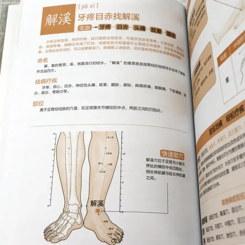 Meridian Acupuncture Point Massage Quick Reference Health Care Book for Family Chinese Version Graphic Guidebook