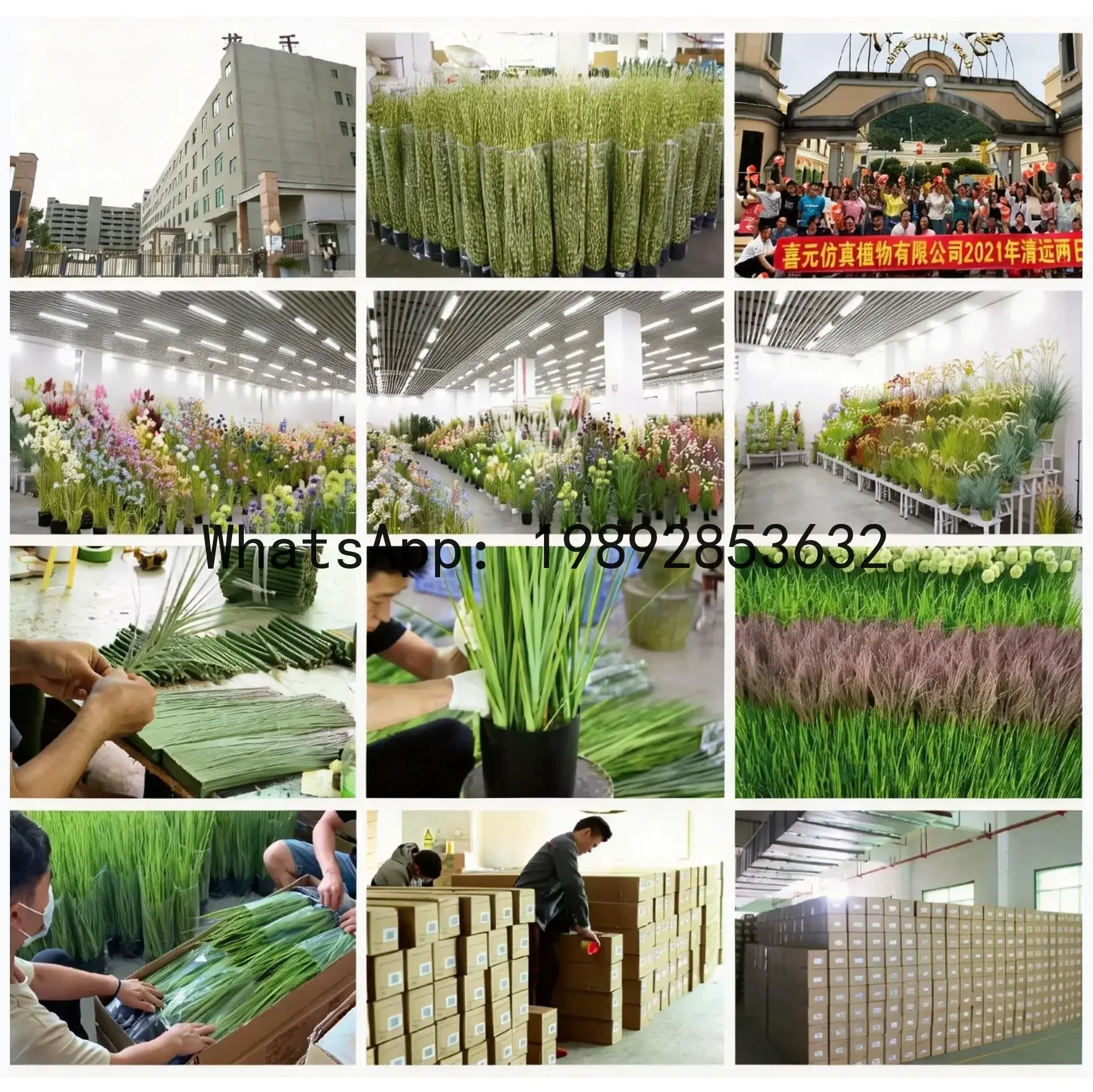 

Xwedding artificial grass sorghum grass indoor decoration fake flower reed grass floor standing green plant