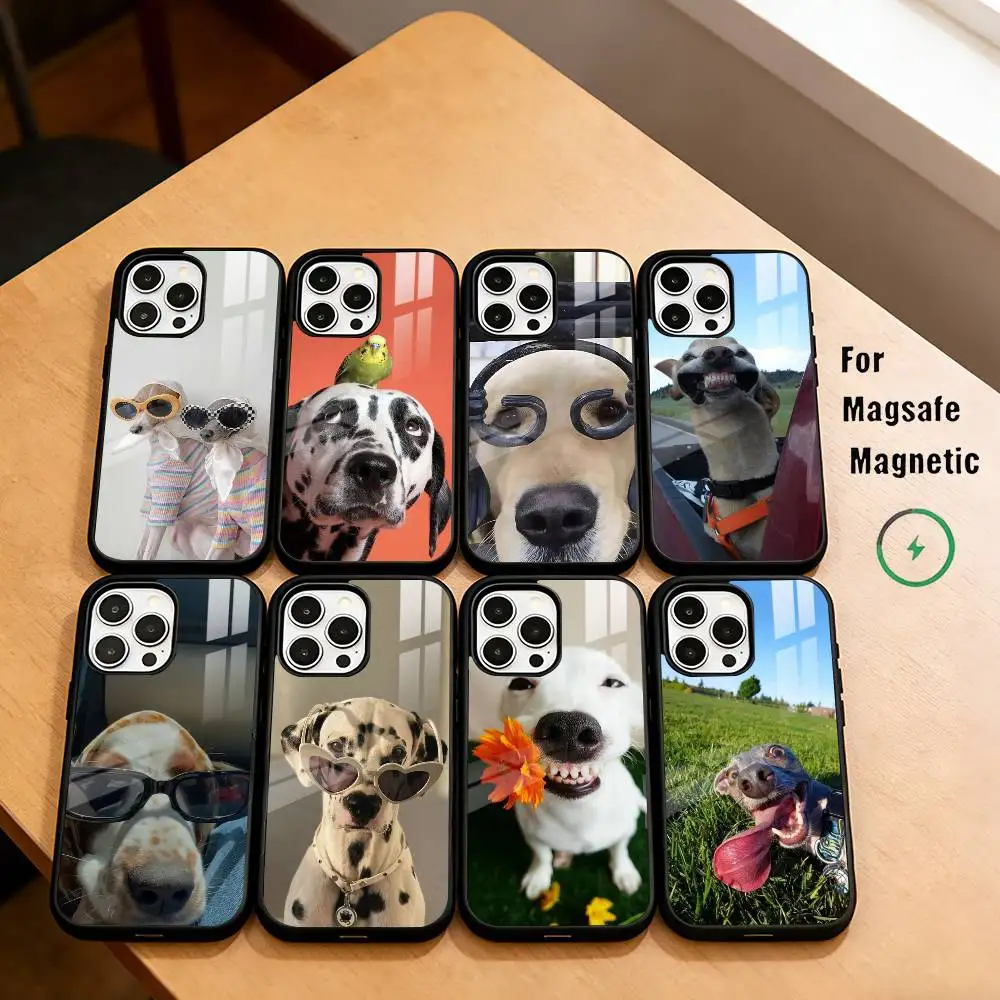 

Funny Dog Cat Phone Case For iPhone17,16,15,14,13,12,11 Plus,Pro Magnetic with Magsafe Wireless Charging