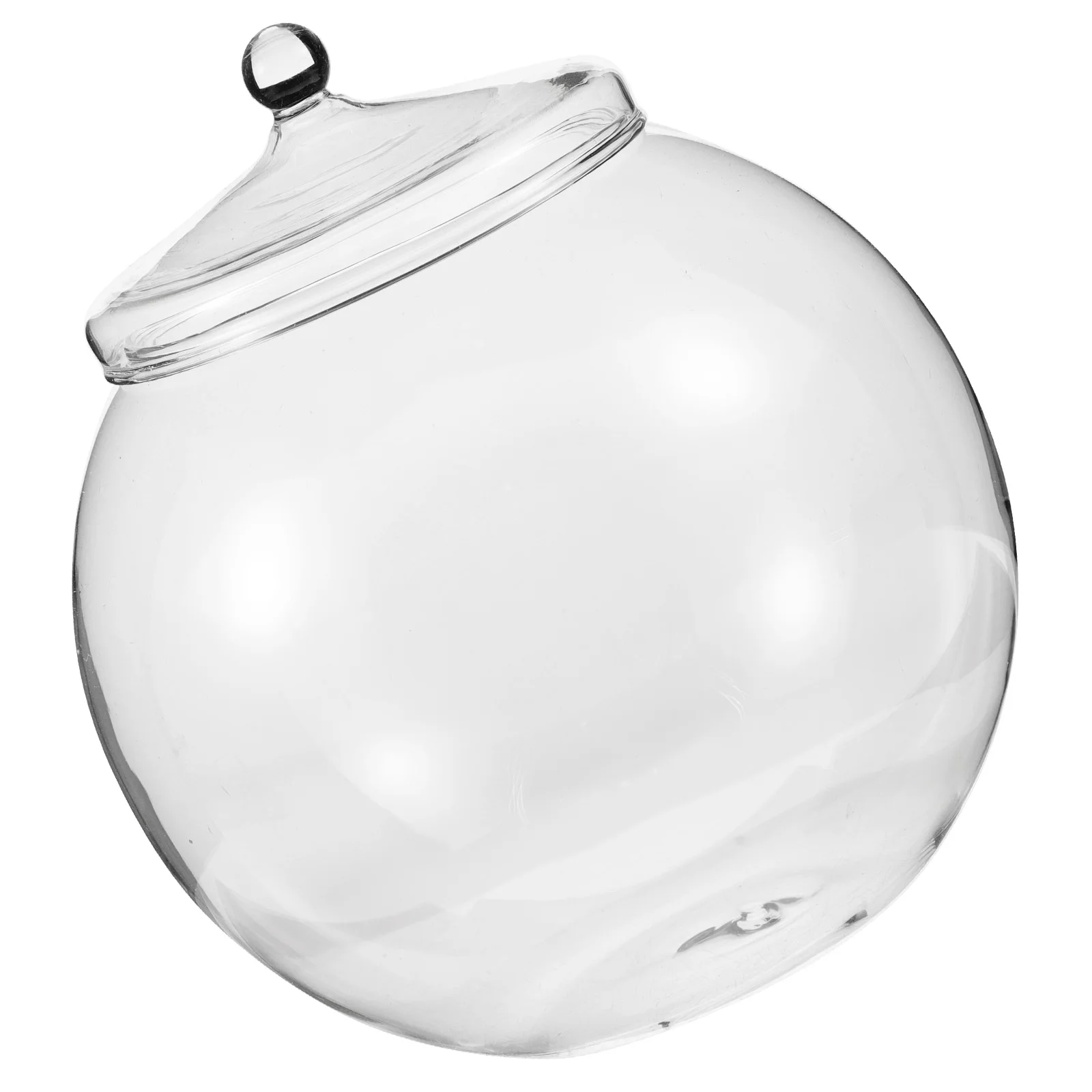 

1 Piece Glass Terrarium for DIY Micro Landscape Bottle Decorative Moss Ecological Container Transparent Plant Terrarium Desktop