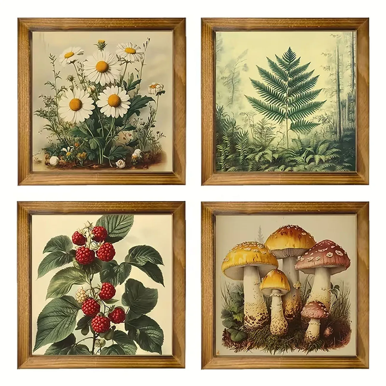4 Pack Wooden Vintage Botanical Wall Decor Daisy Fern Raspberry Mushroom Nano Tape Drill Free Farmhouse Ornament