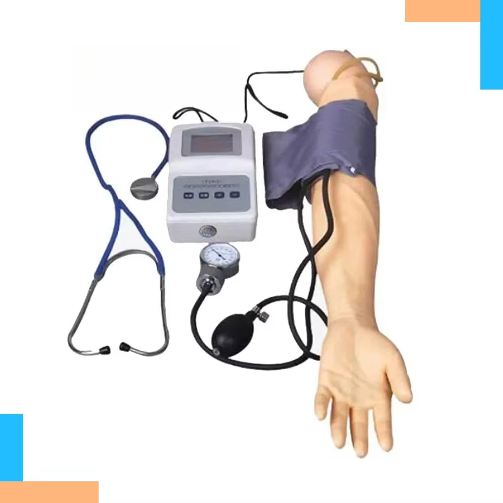 Advanced Blood Pressure Training Arm Simulator, Human Arm Model for Basic Nursing & Medical Teaching