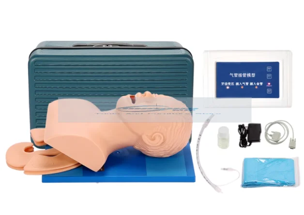 Electronic human tracheal intubation model J5S oral nasopharynx adult airway emergency medical nursing training human model