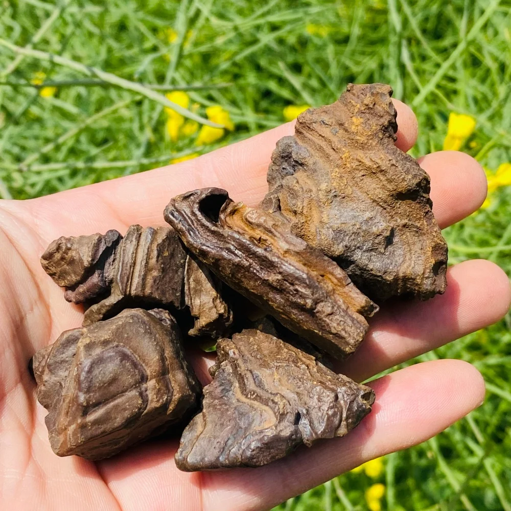 Natural Stone Gobi mudstone Raw Crystal Petrified Grounding Energy Healing Specimens Teaching Mineral Room Home Decoration