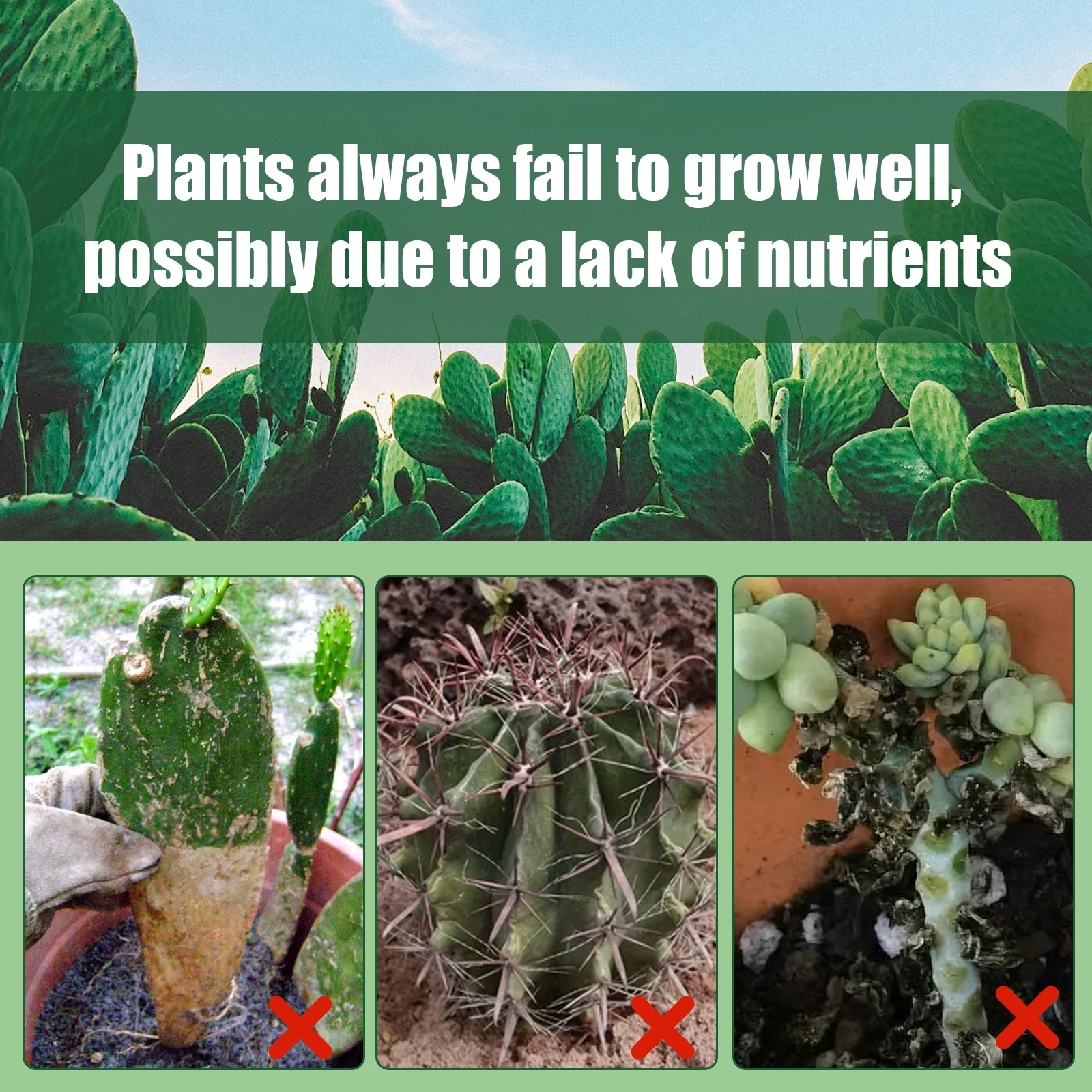 Succulent Nutrient Solution Root Booster Flower Fertilizer Home Garden Care Blooming Succulents Potted Plant Liquid Fertilizer