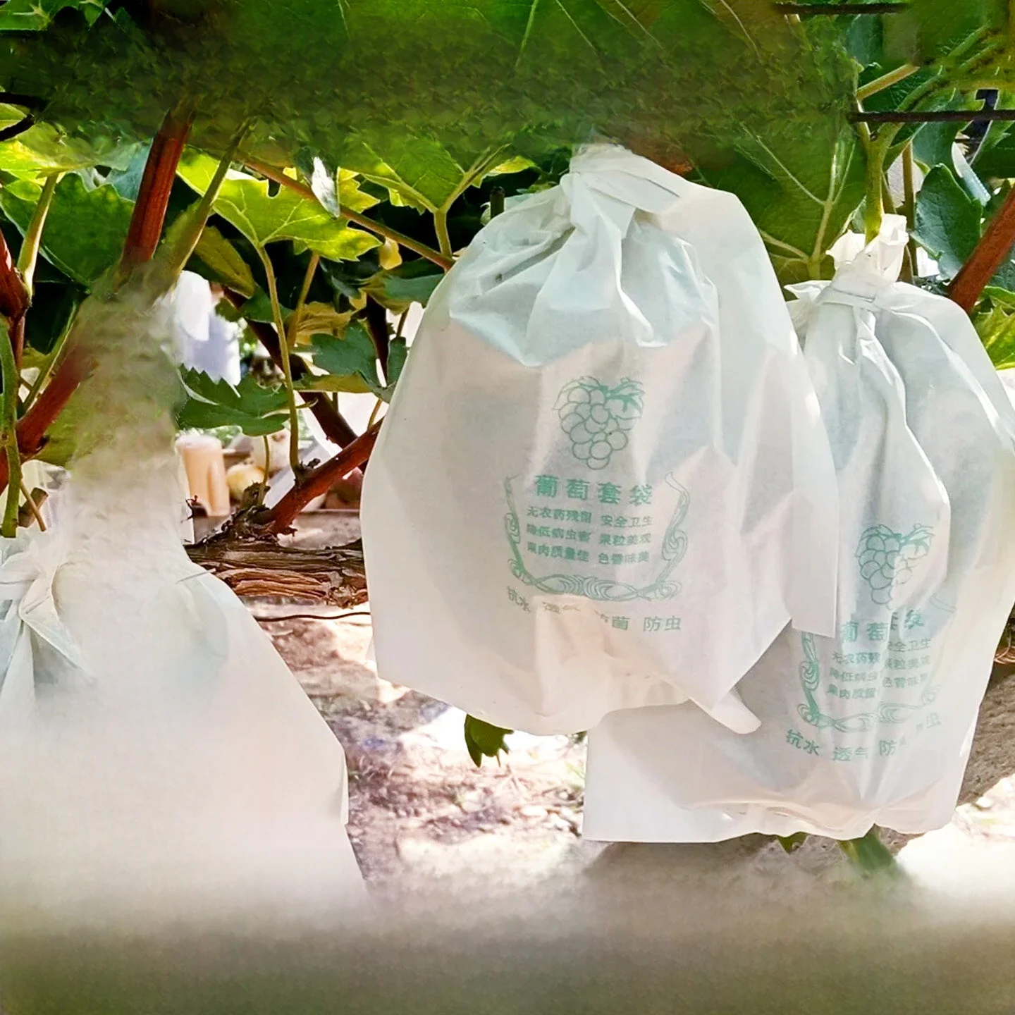 special-bag-for-grape-fruit-protection-waterproof-insect-proof-bird-proof-lychee-protective-paper-bag-fruit-preservation-cont