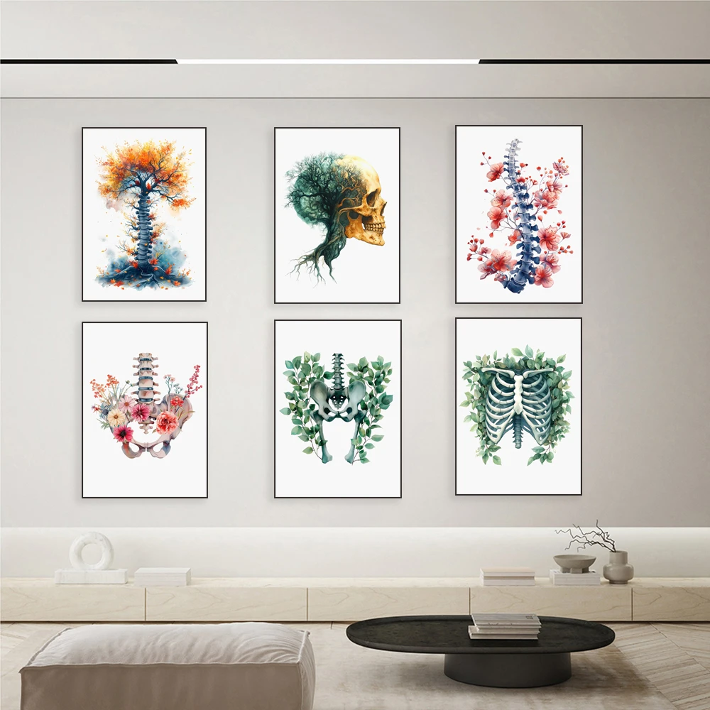 Watercolor skeleton ribs, spinal column anatomy, skull, pelvis, chiropractic art, craniosacral therapy, physical therapy poster