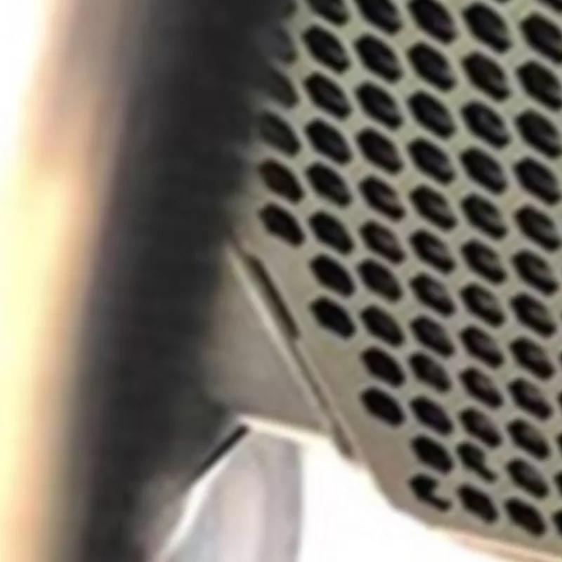 

For Kawasaki Ninja ZX4R ZX4RR ZX 4R 4RR ZX4 R SE ZX-4R/ZX-4R SE/ZX-4RR 2023 2024 Motorbike Radiator Grille Cover Guard Protector