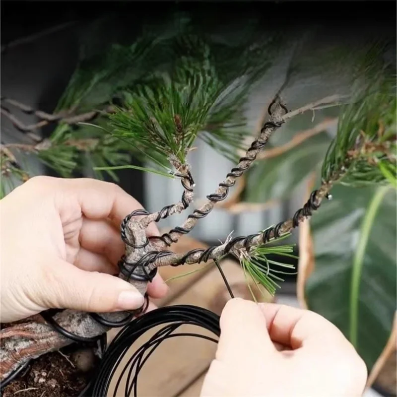 Bonsai Ağacı Şekillendirme Alü - Bonsai Garden Design incelemesi ve fiyatı