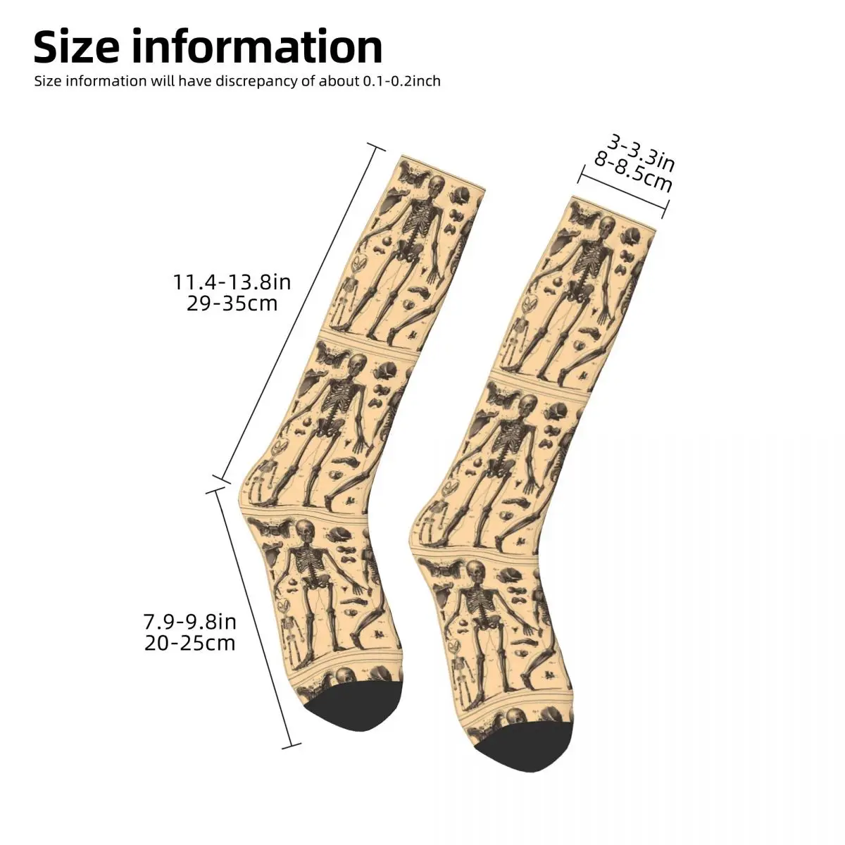 Vintage Human Skeleton Anatomy Diagram (1907) Socks Harajuku Stockings All Season Long Socks Accessories for Unisex Gifts