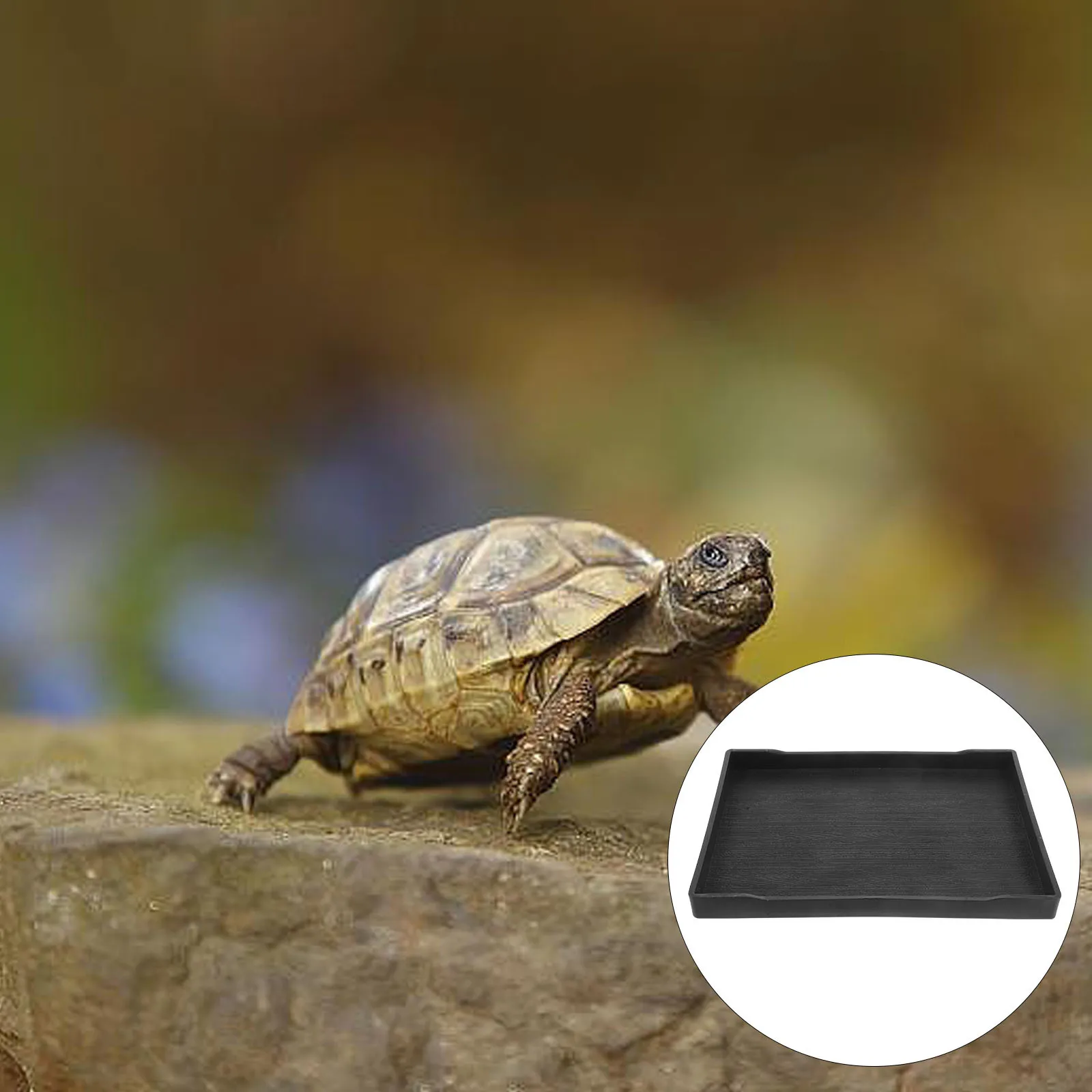 

Unbreakable Reptile Bowl Large Pet Food Water Dish Turtle Supplies Bathing Shallow Design Weighted Anti-Tip Simulated Wood Grain