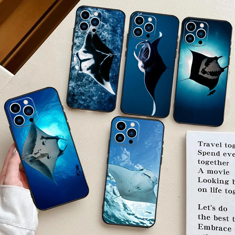 Animal Manta Ray Ca… - image