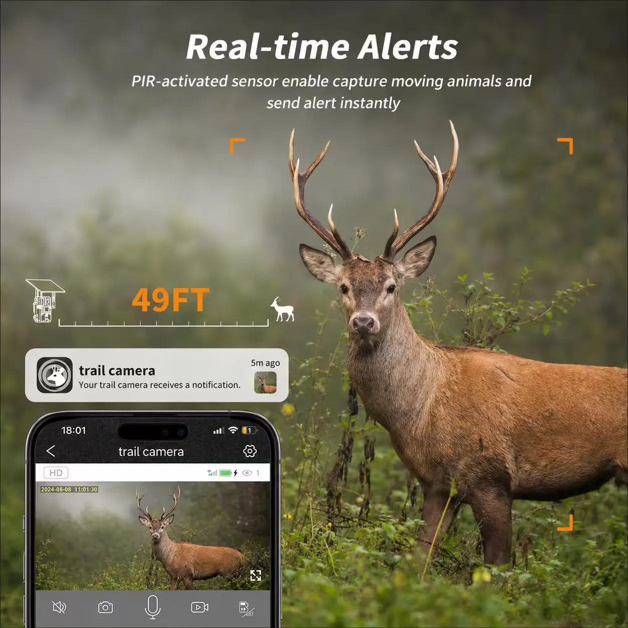 Thumbnail 4 - #60 Trending Trail Cameras Right Now