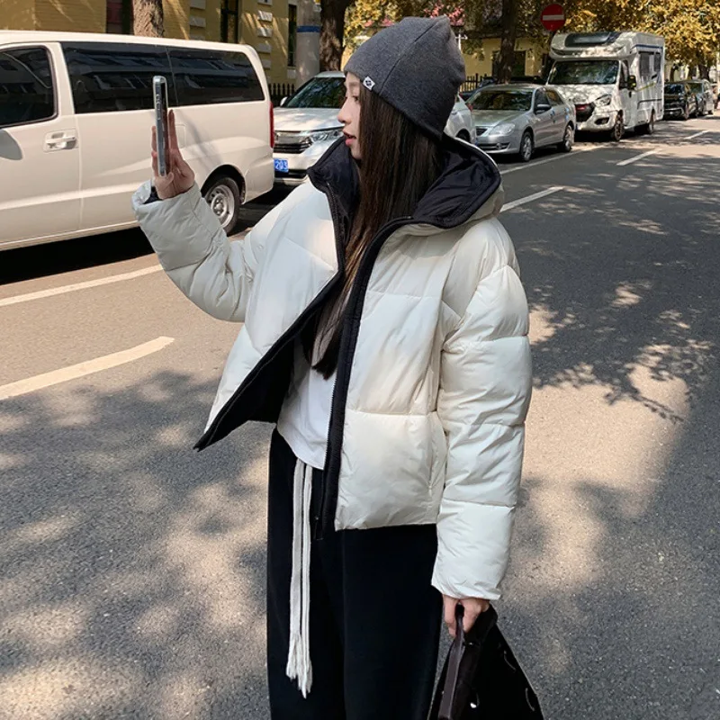 New Women's Cropped Down Cotton Jacket Trend Contrast Color Scarf Collar Cotton-Padded Coat Korean Versatile Puffer Bread Jacket