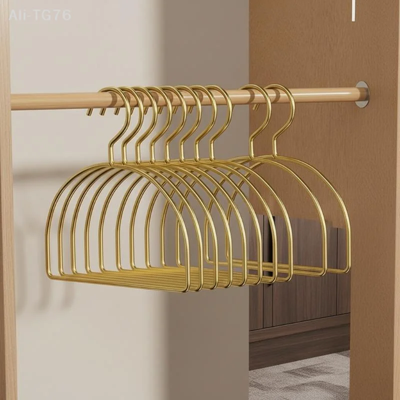 [P] 5PCS Gold Iron Half Round Scarf Hangers Pet Clothes Rack Storage Hanger For Pants Towel Tie,Closet Organizer For Adult Kids view 3