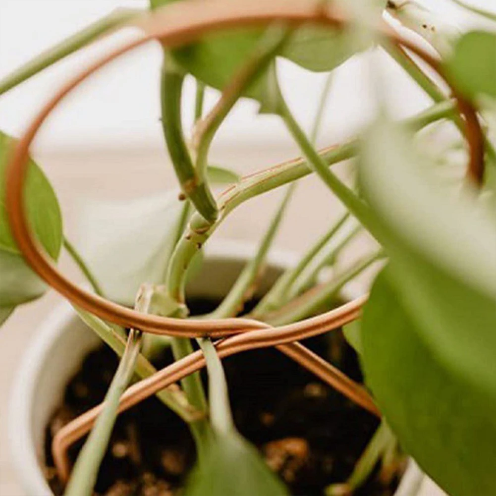 Diy planta de ferro suporte quadro planta treliça escalada suporte estandes vaso de flores pólo trepadeiras tutor vara decoração da sua casa interior