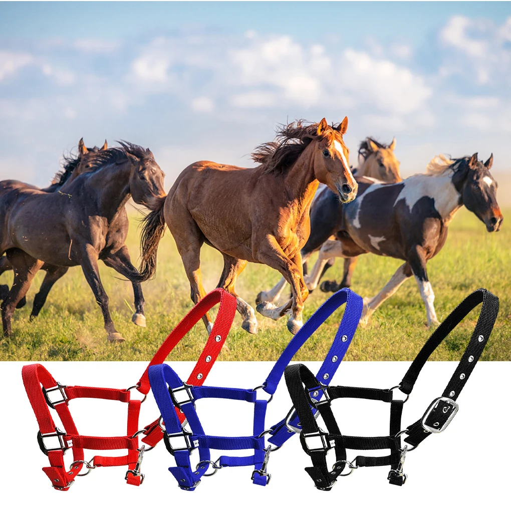 Padded Halter Pony Bridle Head Collar Zinc Alloy Protection Handily Wear Professional Racing Saddle Pad Blue S