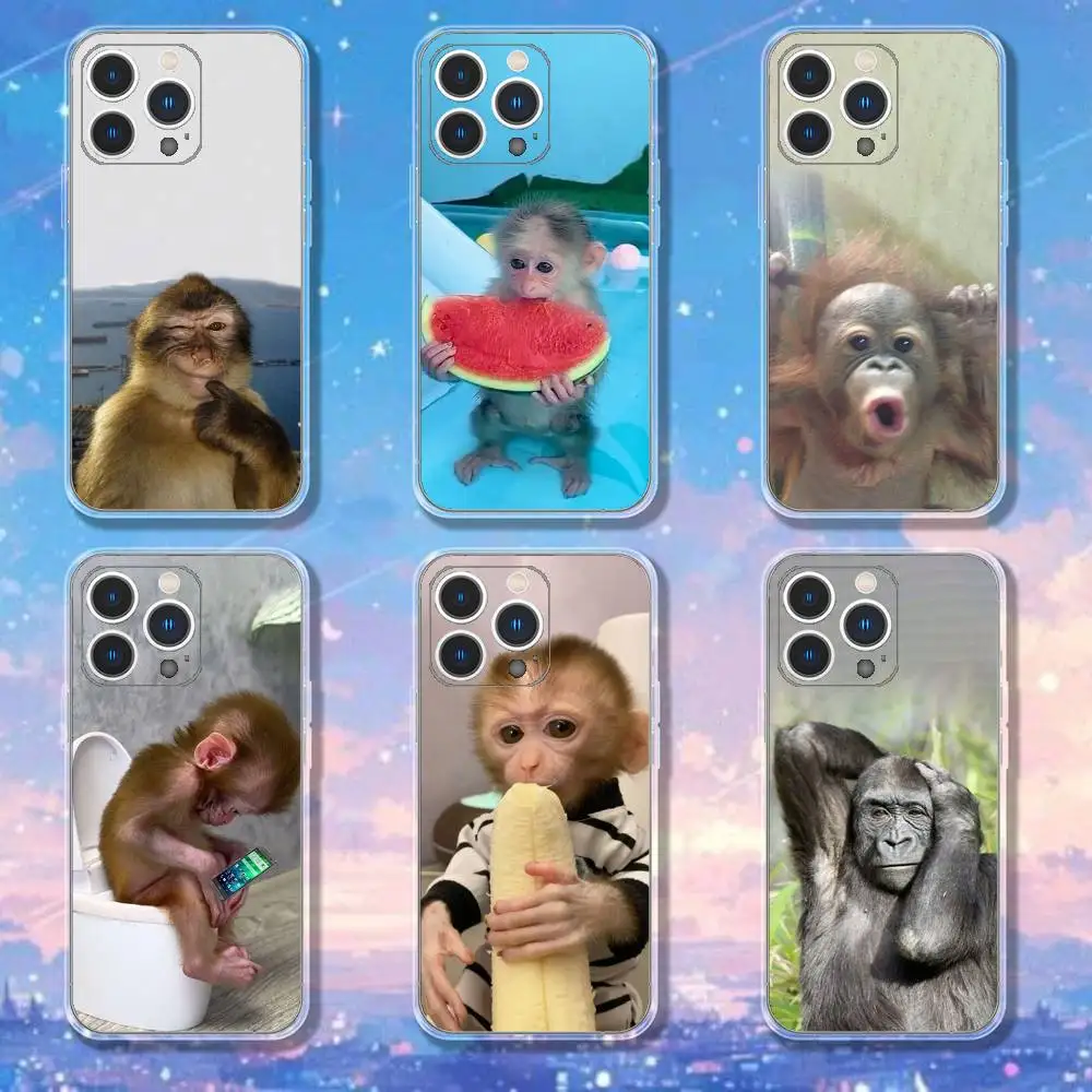 

Cute Funny Monkeys Symbol Phone Case For iPhone 17,16,15,14,13,12,11 Pro,Max,Plus,XR,Mini,E Clear Full-coverage Soft Cover