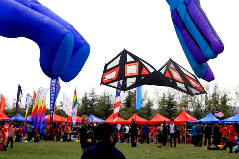 Strong kite quad line stunt kite cerf volant Freilein kites for adults kites adult games for entertainment jouer acquilone koi