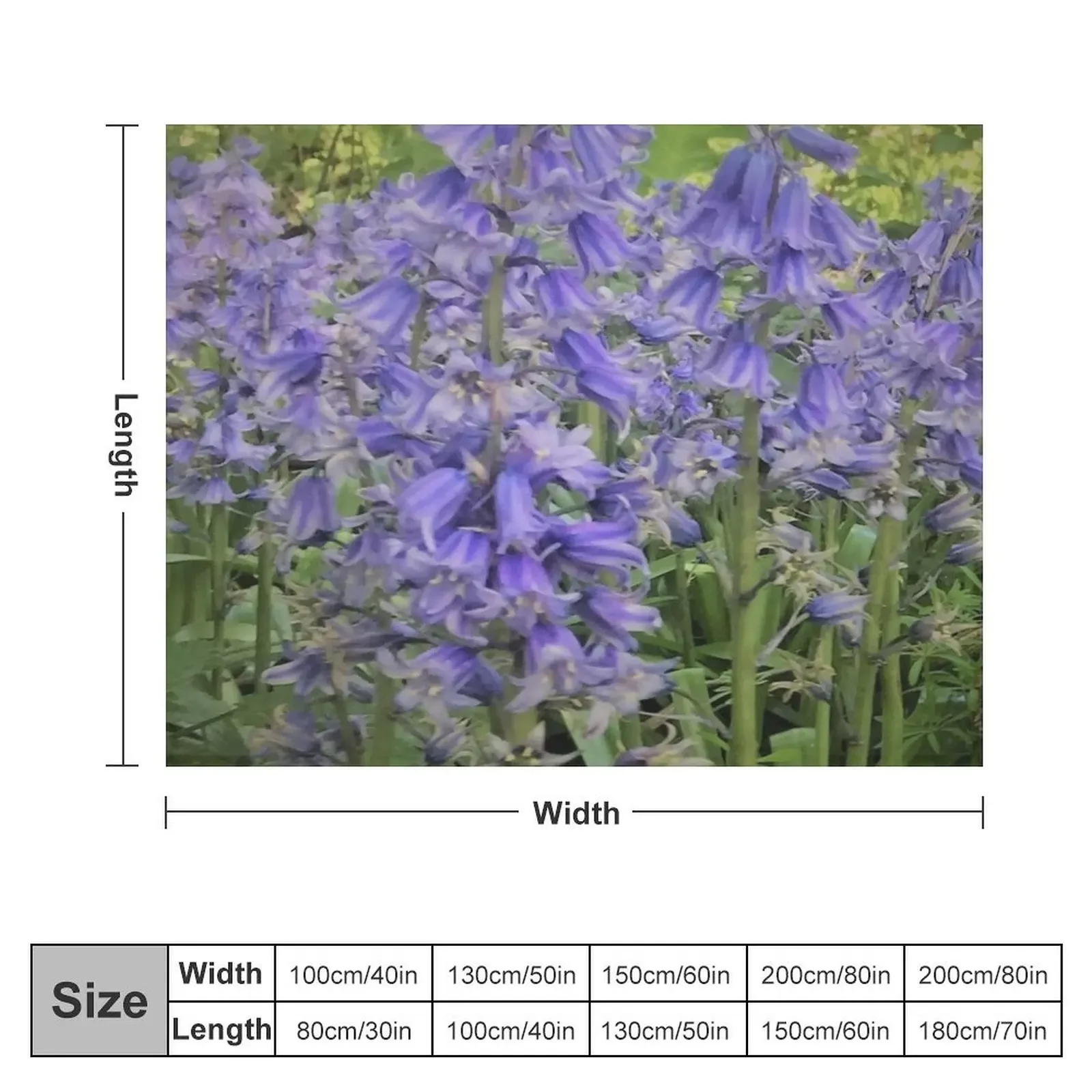 Bluebells bulbs Throw Blanket Giant Sofa christmas gifts blankets ands Blankets