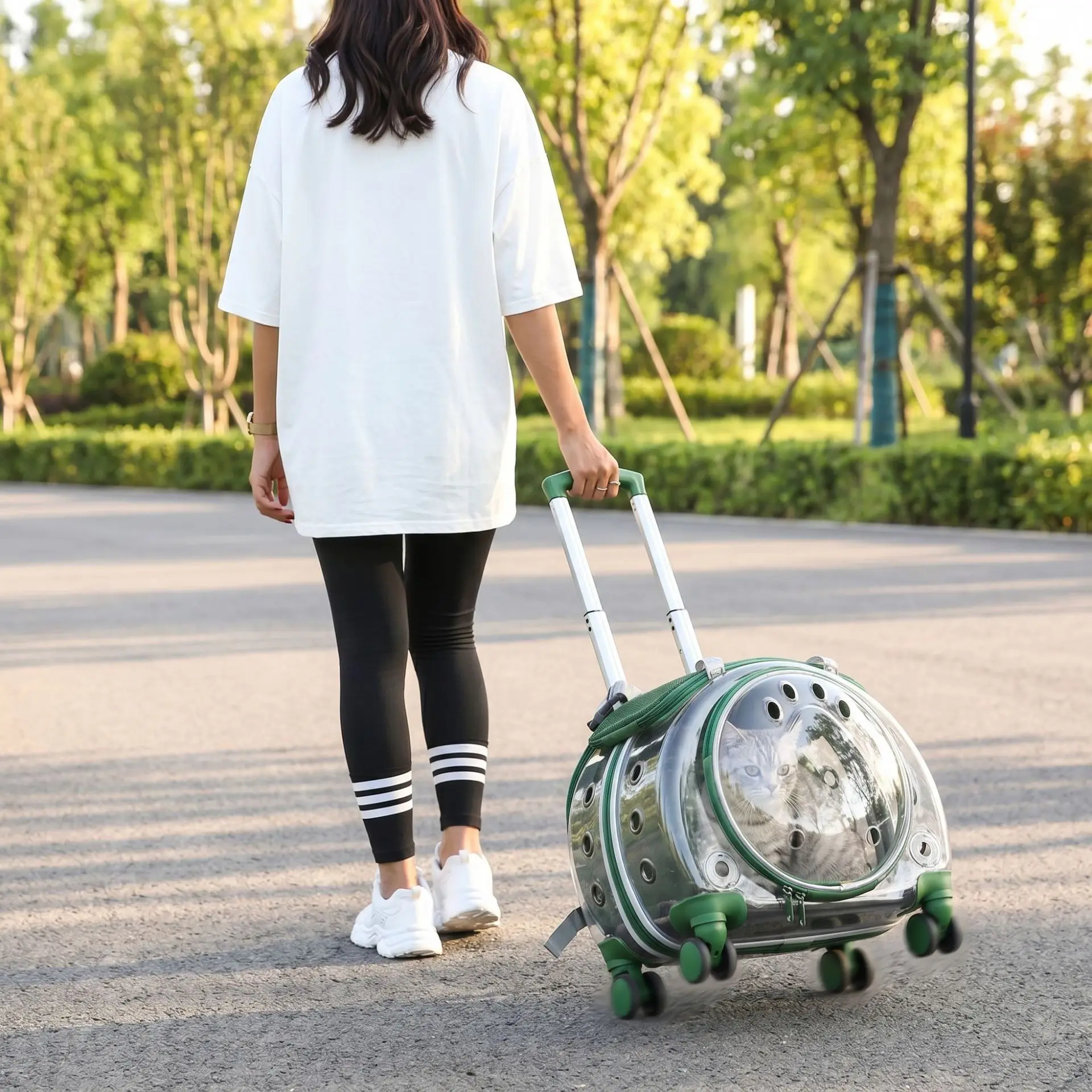 Transparent pet rolling back bag breathable ventilation cat travel bag