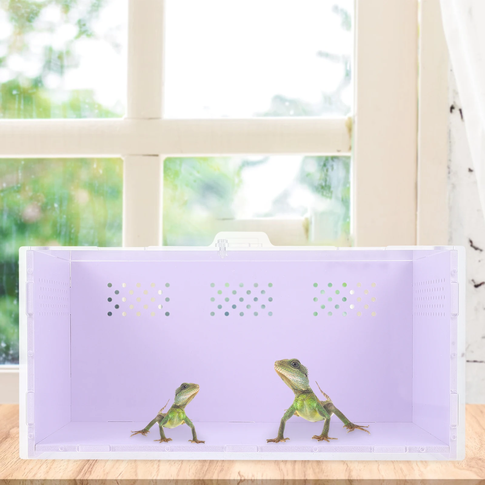 

Acrylic Reptile Breeding Box White Spider Feeder Case Clear Observation Hole Crawling Pet Holder Hygienic Feeding Container