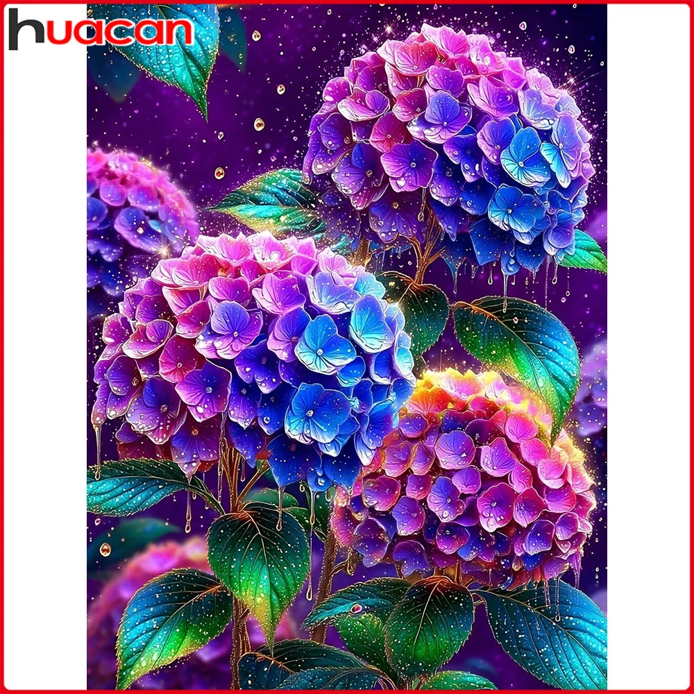 Huacan 5D Diy Diamo…