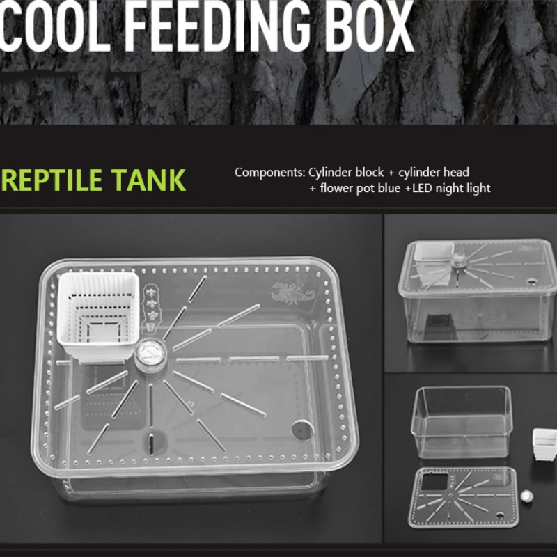 Transparent Reptile Breeding Box with LED Light Acrylic Desktop Ecological Feeding Boxes Anti-escape Terrarium for Turtle Cage