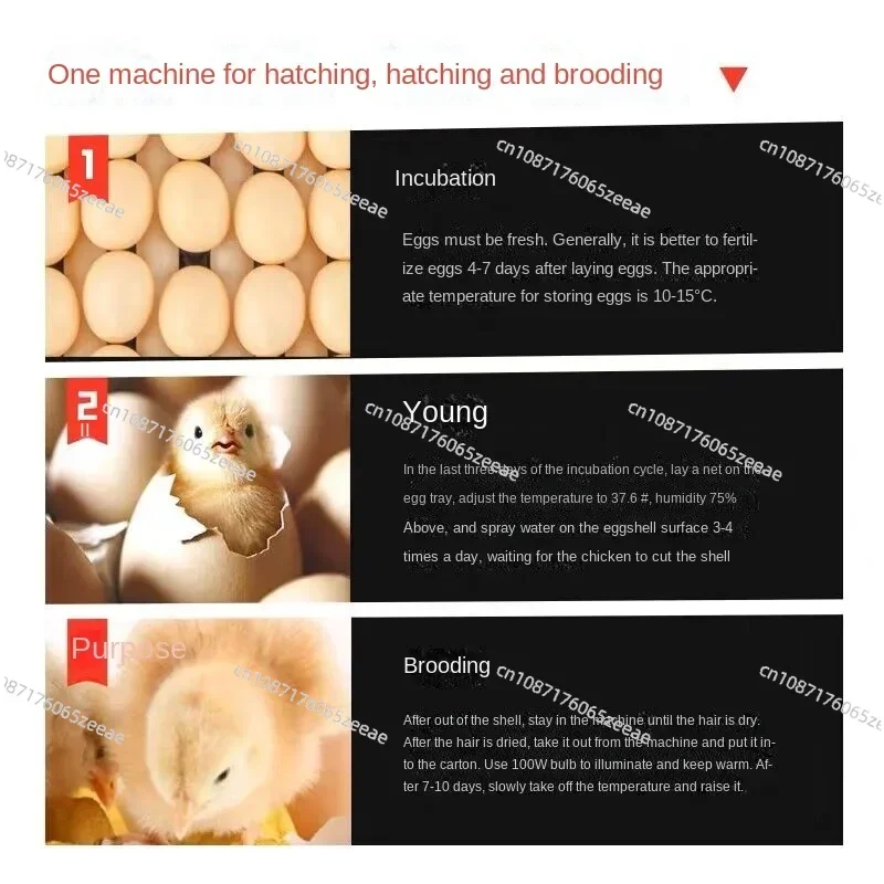 204/136 Eggs Intelligent Large and Medium-Sized Incubator Househo Full-Automatic Incubator Chicken Duck Goose Quail Incubator