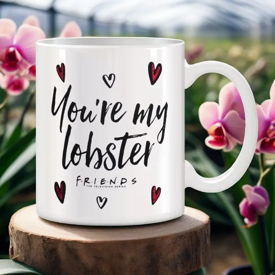 You're My Lobster Mugs For Friends Gift Birthday Gifts Novelty Coffee Ceramic Tea Cups White 11 oz mug