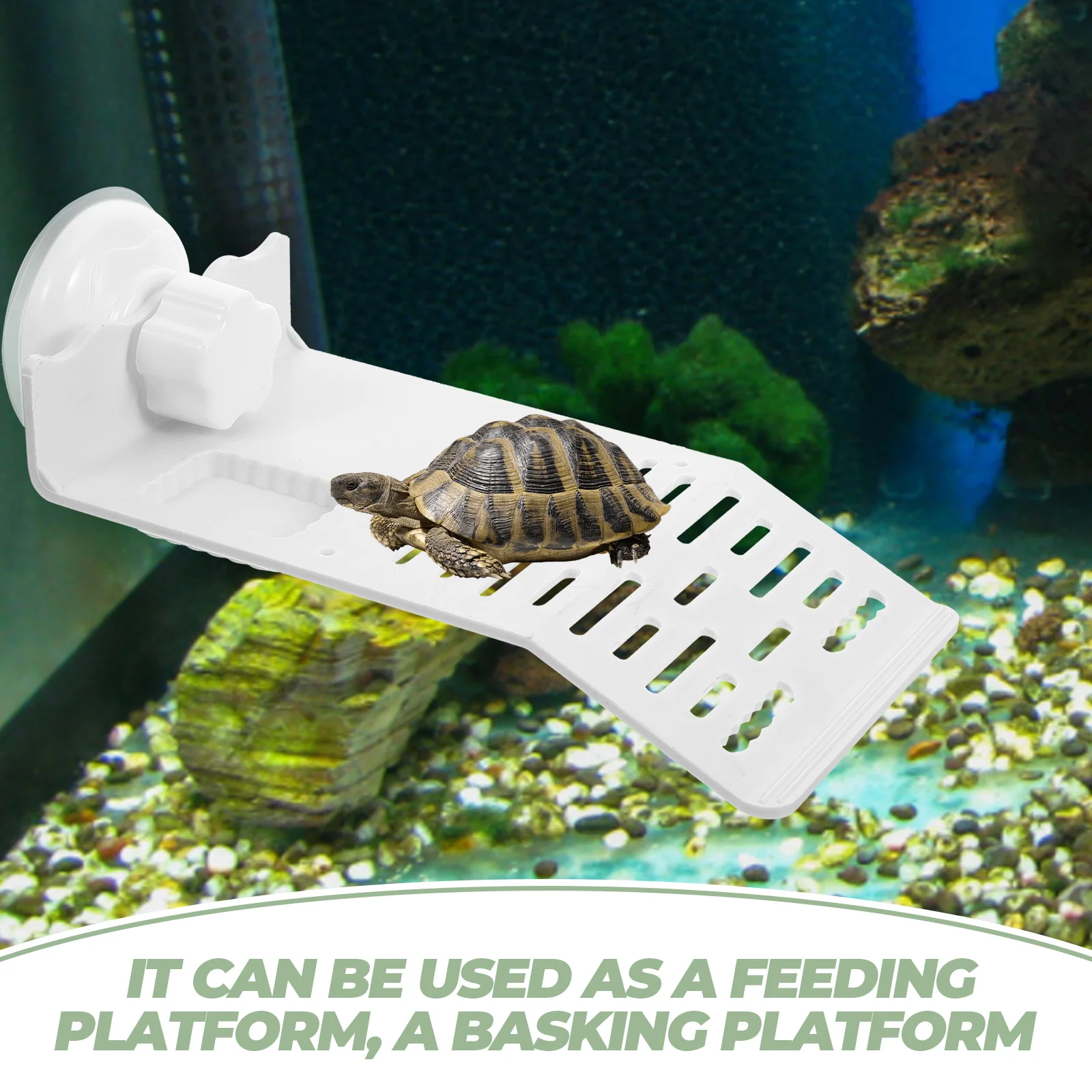 

Turtle Basking Platform Small White Suction Cup Climbing Floating Island Habitat Decor Pet Supplies Aquatic Turtles Accessories