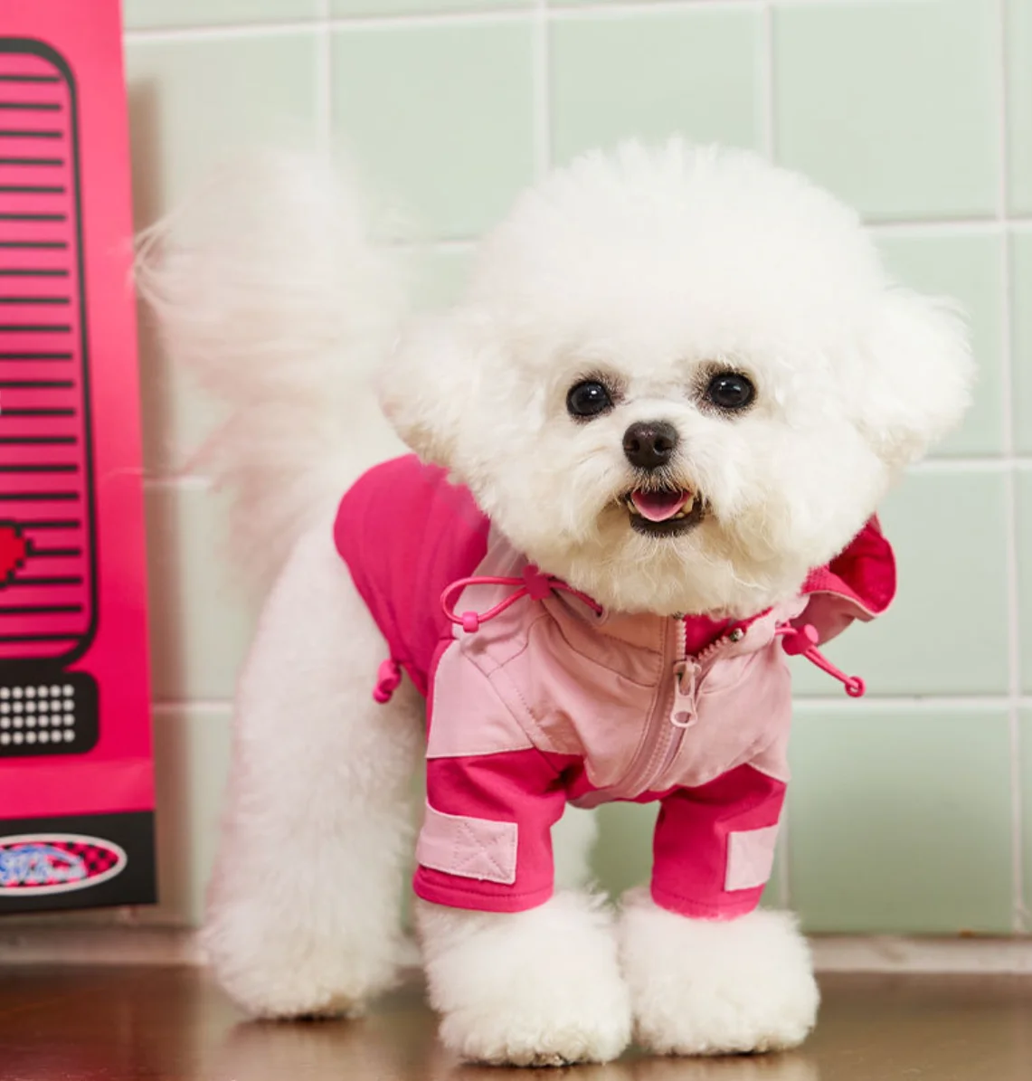 Cat and Dog Clothes, Pet Clothes, Autumn and Winter, New