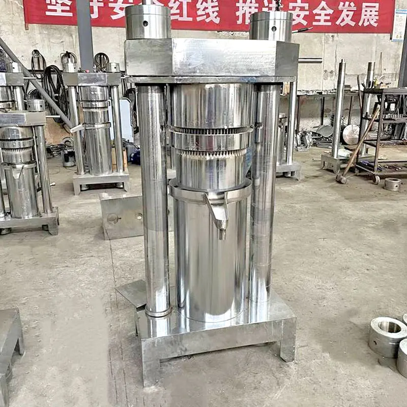 Red Palm Pine Nut Okra Seed Oil Press Machine Peanut Oil Press Line Exaction Machine Production Cold Press Oil Machine Hydraulic