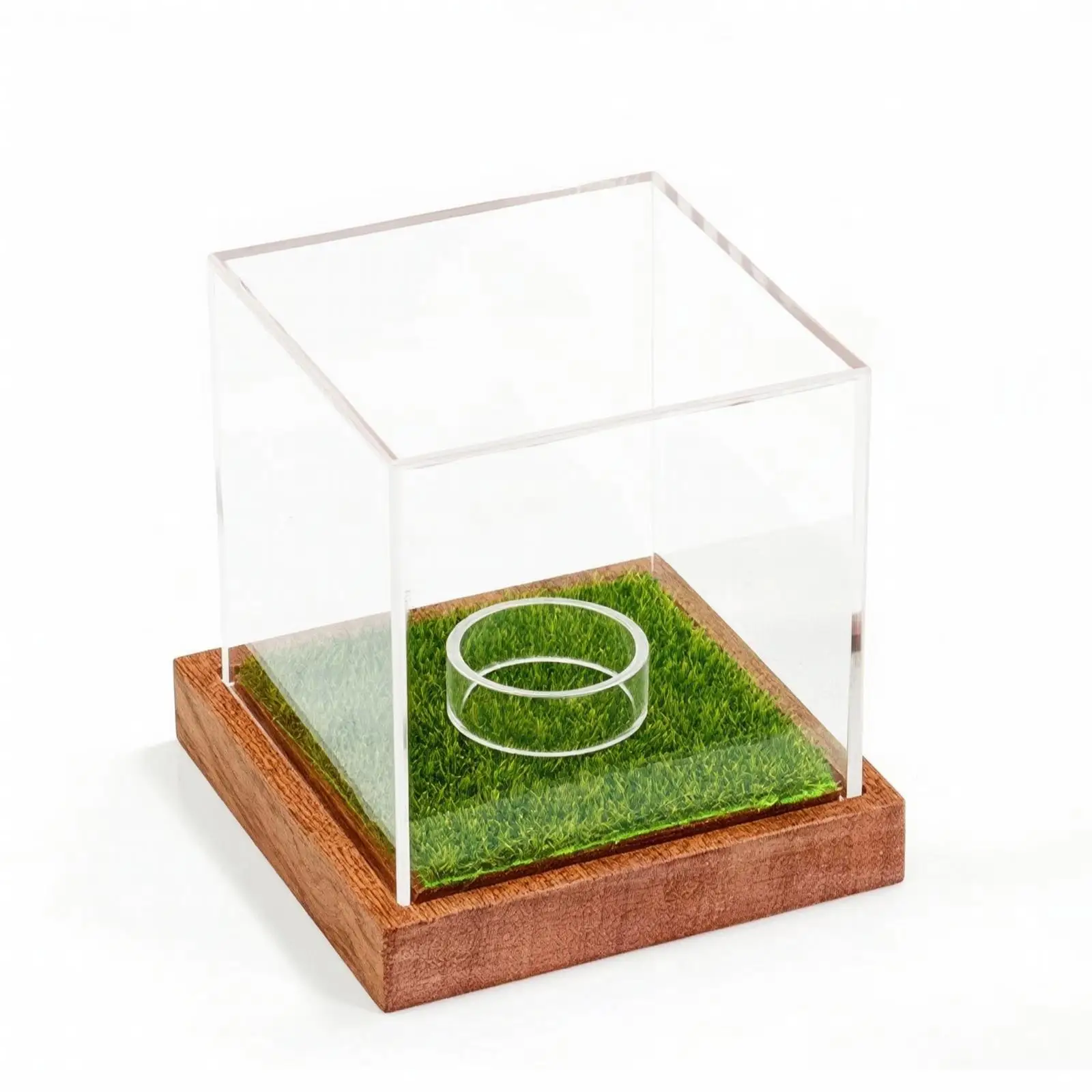 Golf Ball Display Case with Wooden Base Compact for Game Rooms