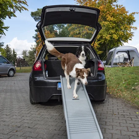 

Foldable Dog Ramp Portable Pet Stairs for Car Bed Old Fat Dogs Lightweight Durable