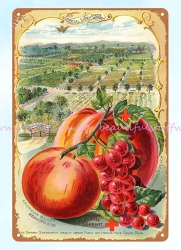 funky wall art 1896 Peaches and currants Greens nursery co metal tin sign