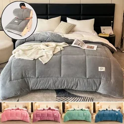Winter Quilt Blanket Double Sided Velvet Lamb Cashmere Double Bed Quilts King Queen Full Size Bed Duvet Thicken Comforter Core