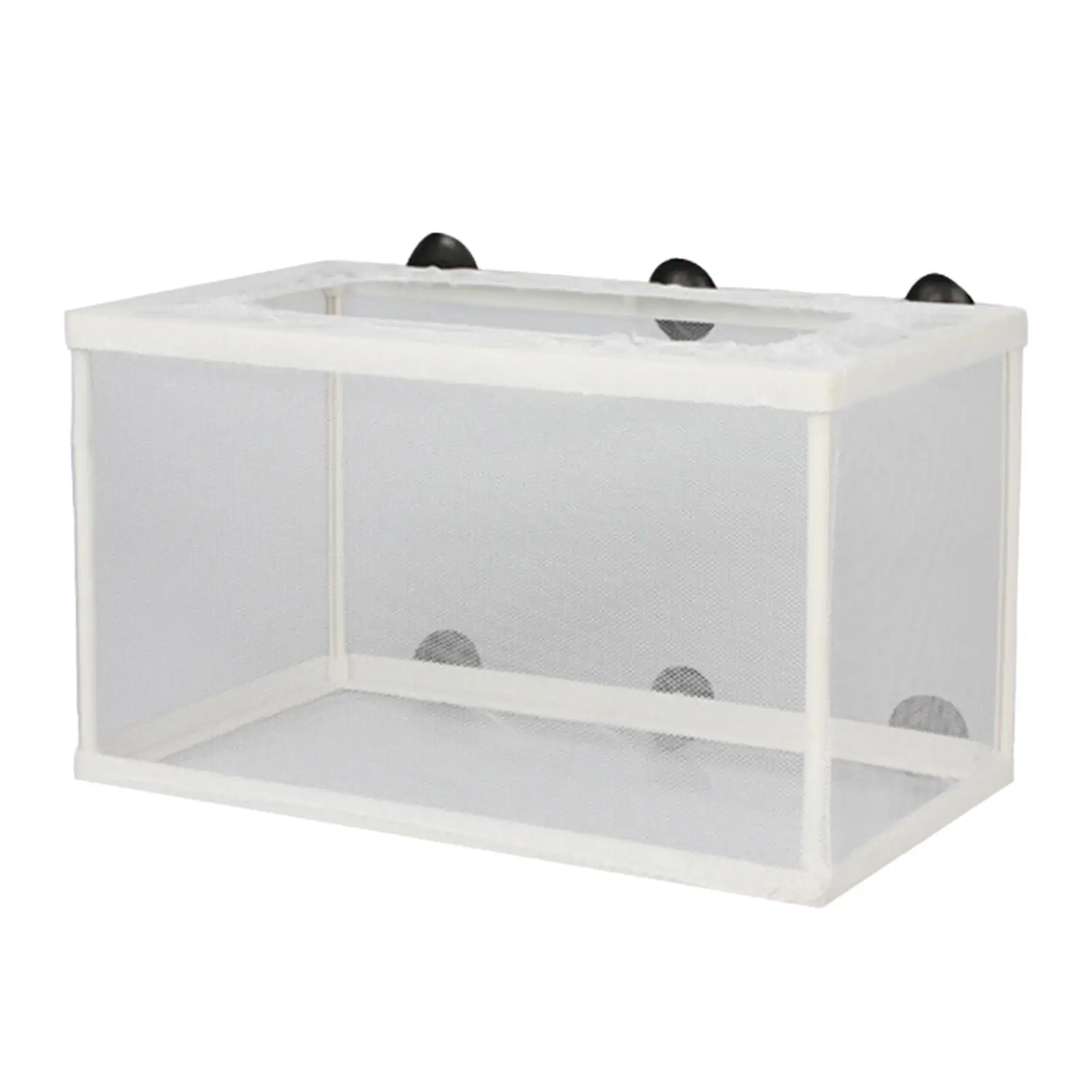 Fish Breeder Box Separation Hatchery Juvenile Spawning Incubator with Suction Cups Aquarium Breeding Isolation Net for Clownfish