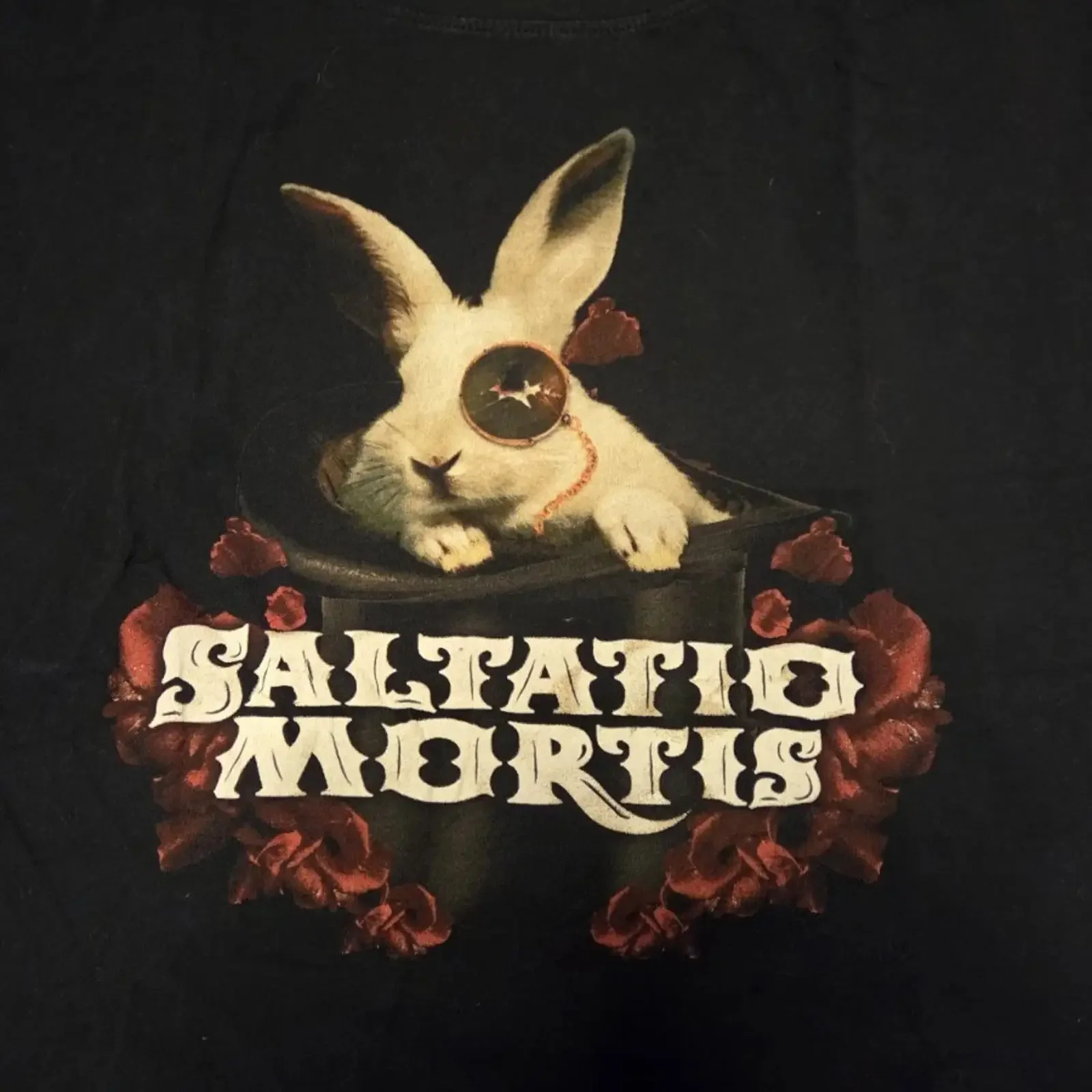 Saltatio Mortis T Shirt Größe M Mittelalter Wikinger vintage Washed Stretched fashion graphic Top For Everyday Wear Unisex