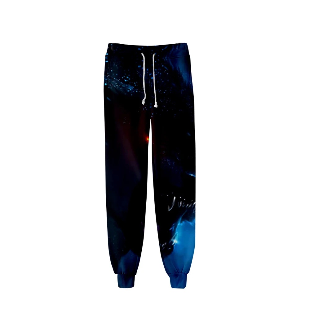 Pantalon de survêtement baggy animaux de loup pour hommes, survêtement Hip Hop, jogging de piste, Streetwear, vêtements de sport 3D, mode