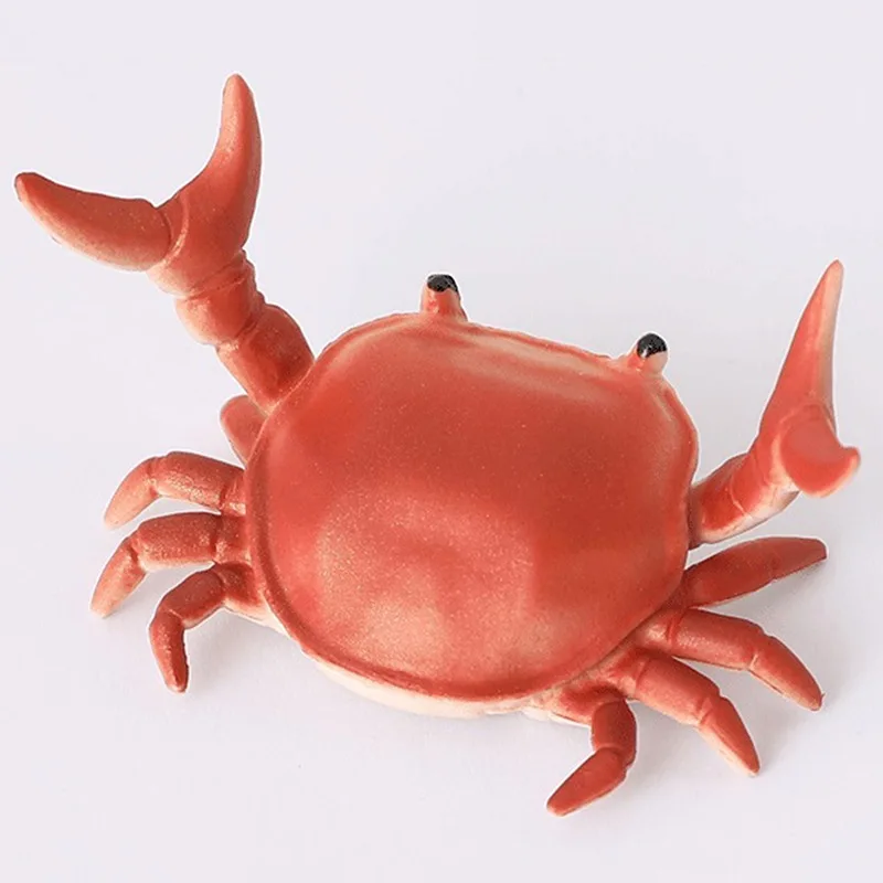 Easy to Hold Useful Weightlifting Crab Pen Holder Bright Color Crab Pen Holder Simulation for Students