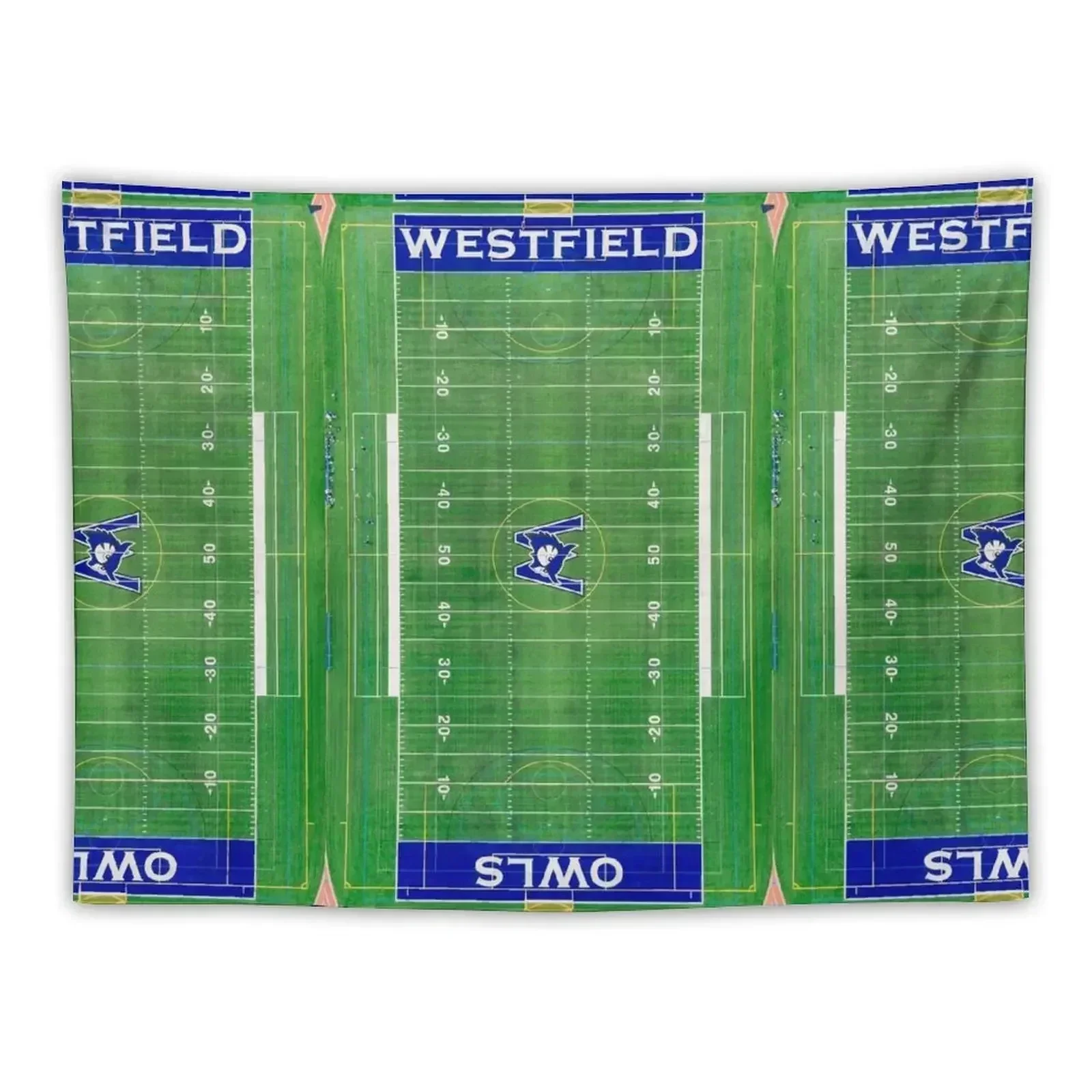 

Westfield State University Owls WSU Aerial Photograph Tapestry Funny Aesthetic Room Decoration Decoration For Rooms Tapestry