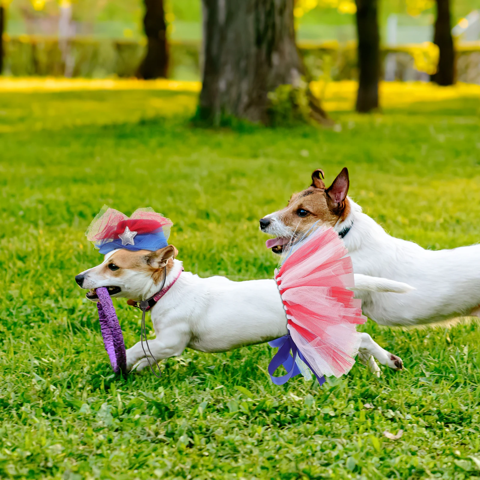 

Pet Mesh Tutu Skirt Independence Day Costumes Clothes Small Dogs Top Hat Suit Gauze Comfort Photo Props Dog Tutu Dress For Cat