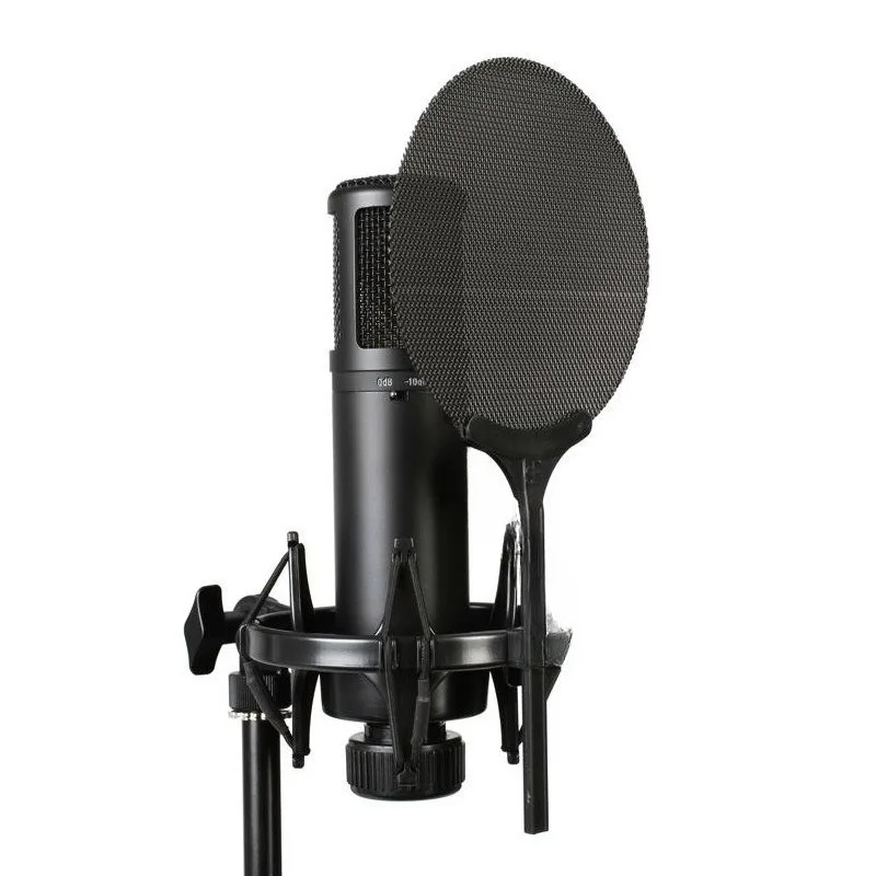 

2200 professional recording dubbing Karaoke equipment live streaming host microphone, large diaphragm condenser microphone