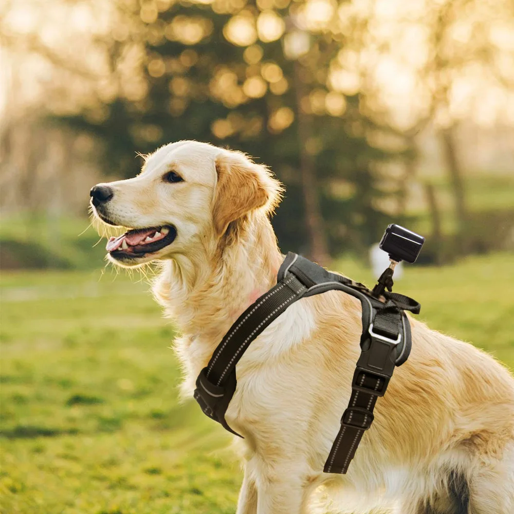 Pet first view dog cat neck strap camera camera recording wear